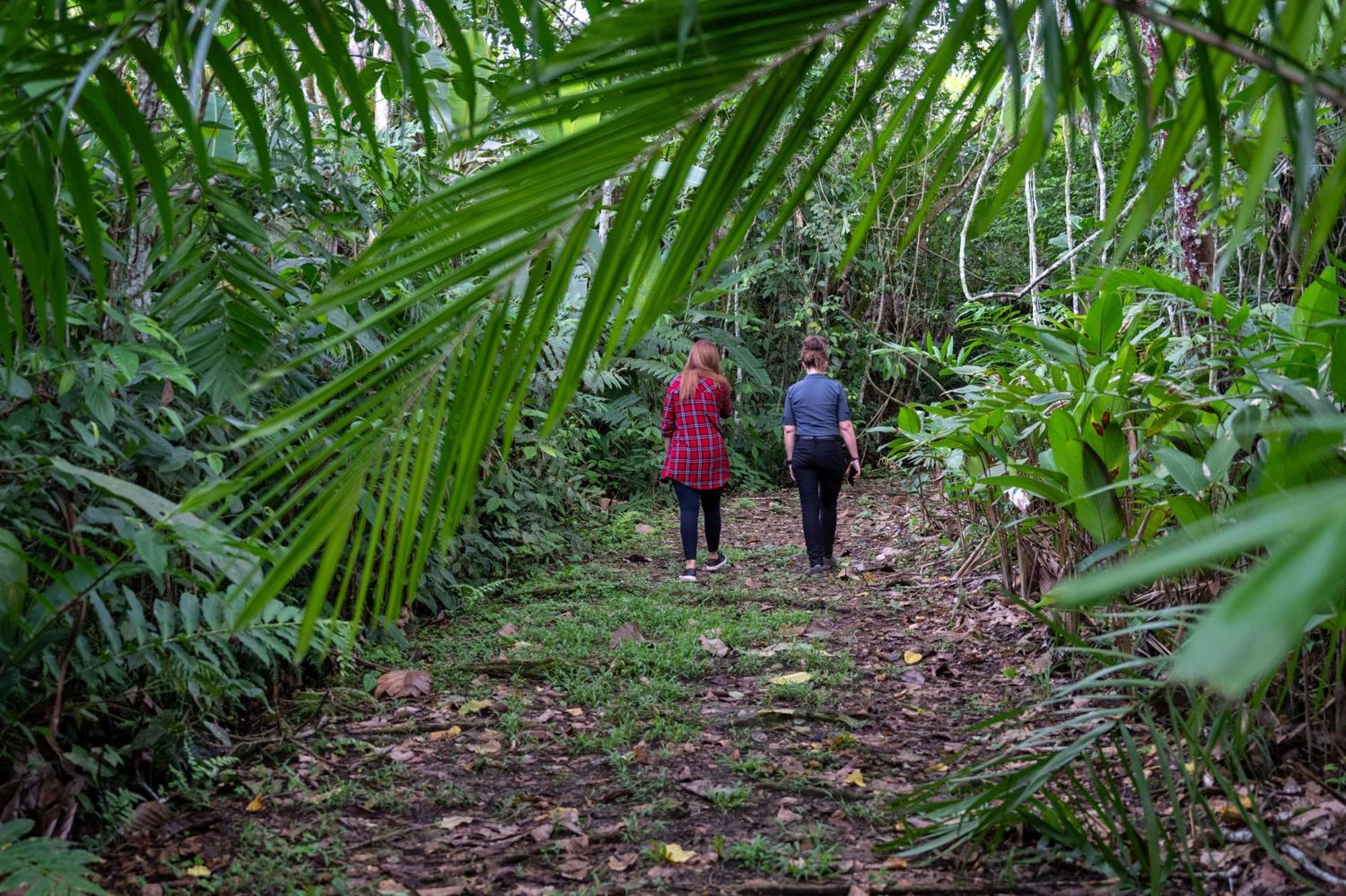 Hotel Casa Turire Turrialba Eksteriør bilde